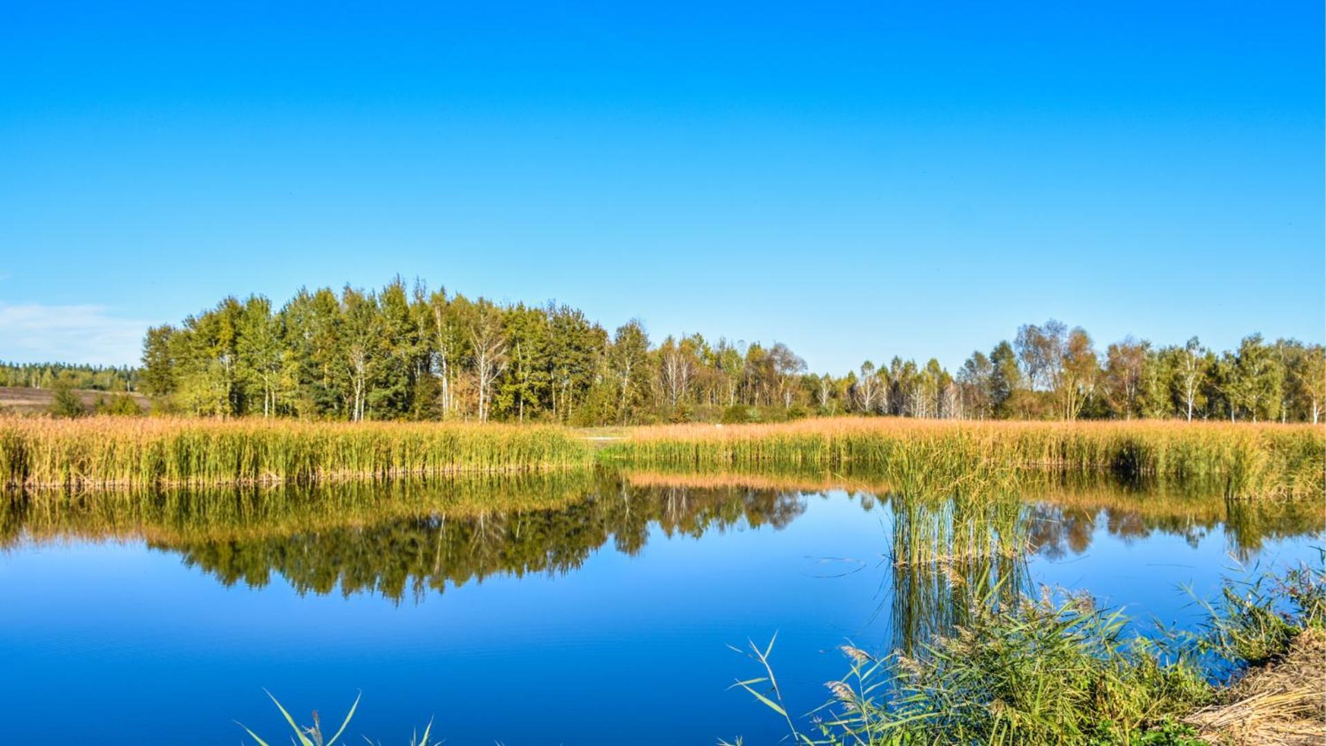 Sherwood Lake Hotel Berezovka  Zewnętrze zdjęcie